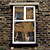 Click to see this house