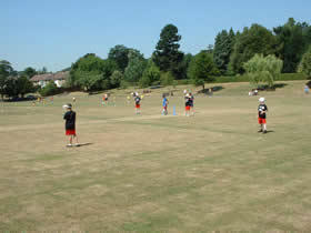 Saltaire Primary School Cricket Festival 2006