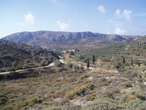 Local countryside
