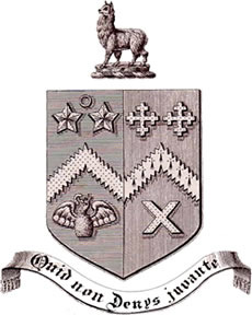 The tweaked version of the Salt family crest