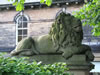 Lion by Lower School Street 