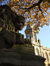 One of the four lions on Victoria Road, Victoria Hall in background 