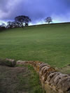 Field near Dowley Gap