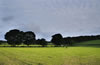View from Shipley Glen