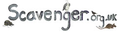 Scavenger.org.uk