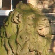 A lion on Victoria Road