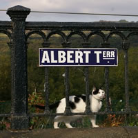 Albert Terrace, copyright Elizabeth Grove