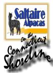 Saltaire Alpacas