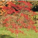Roberts Park