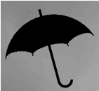 Rained off!